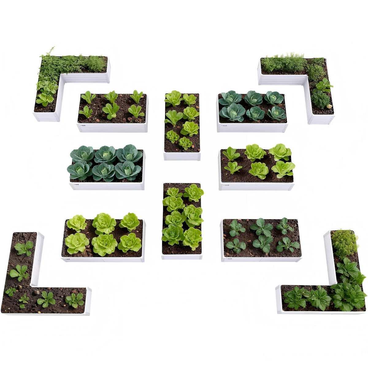 Set of small square garden boxes with plants on a white background 