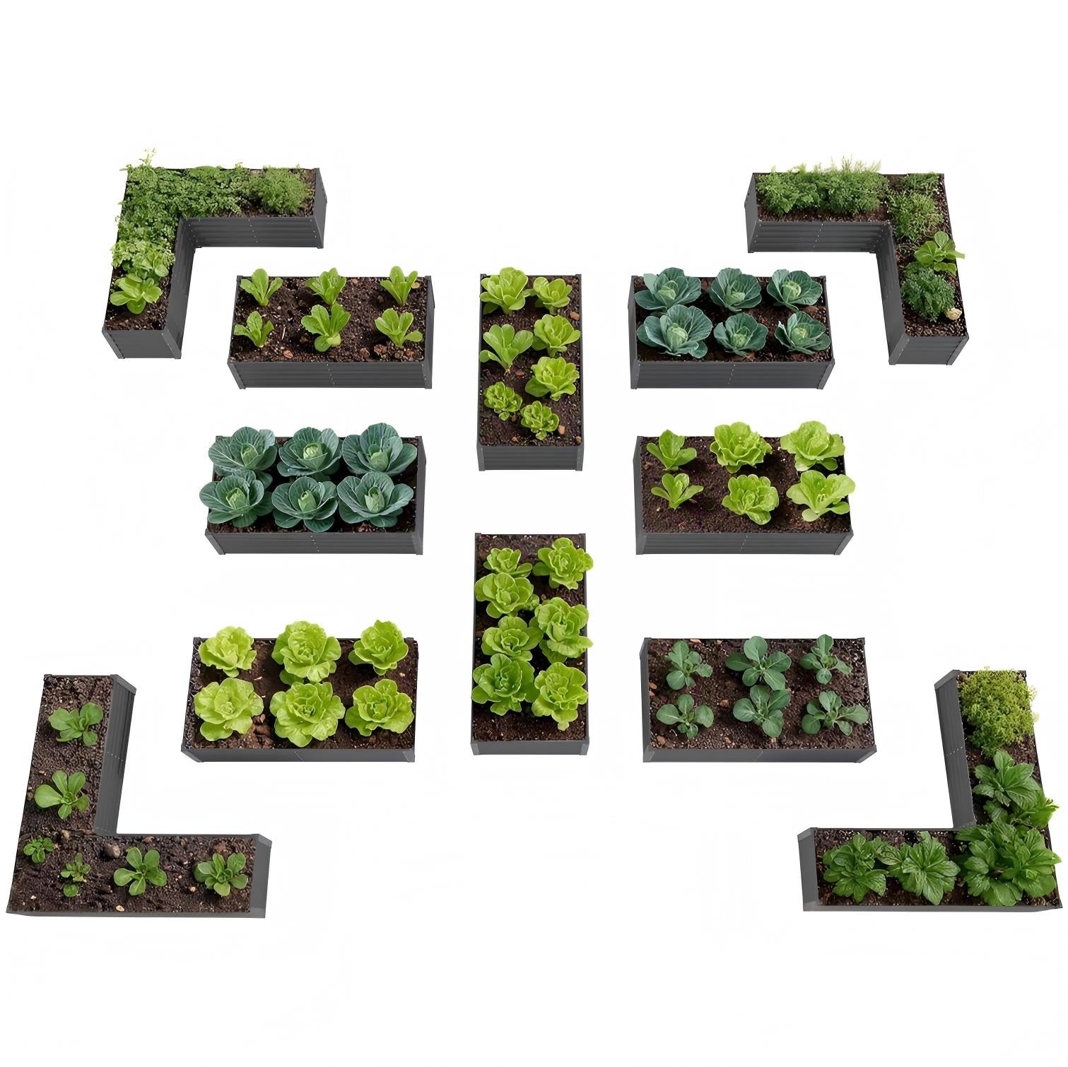 Set of small rectangular garden beds with plants on a white background #quartz-gray
