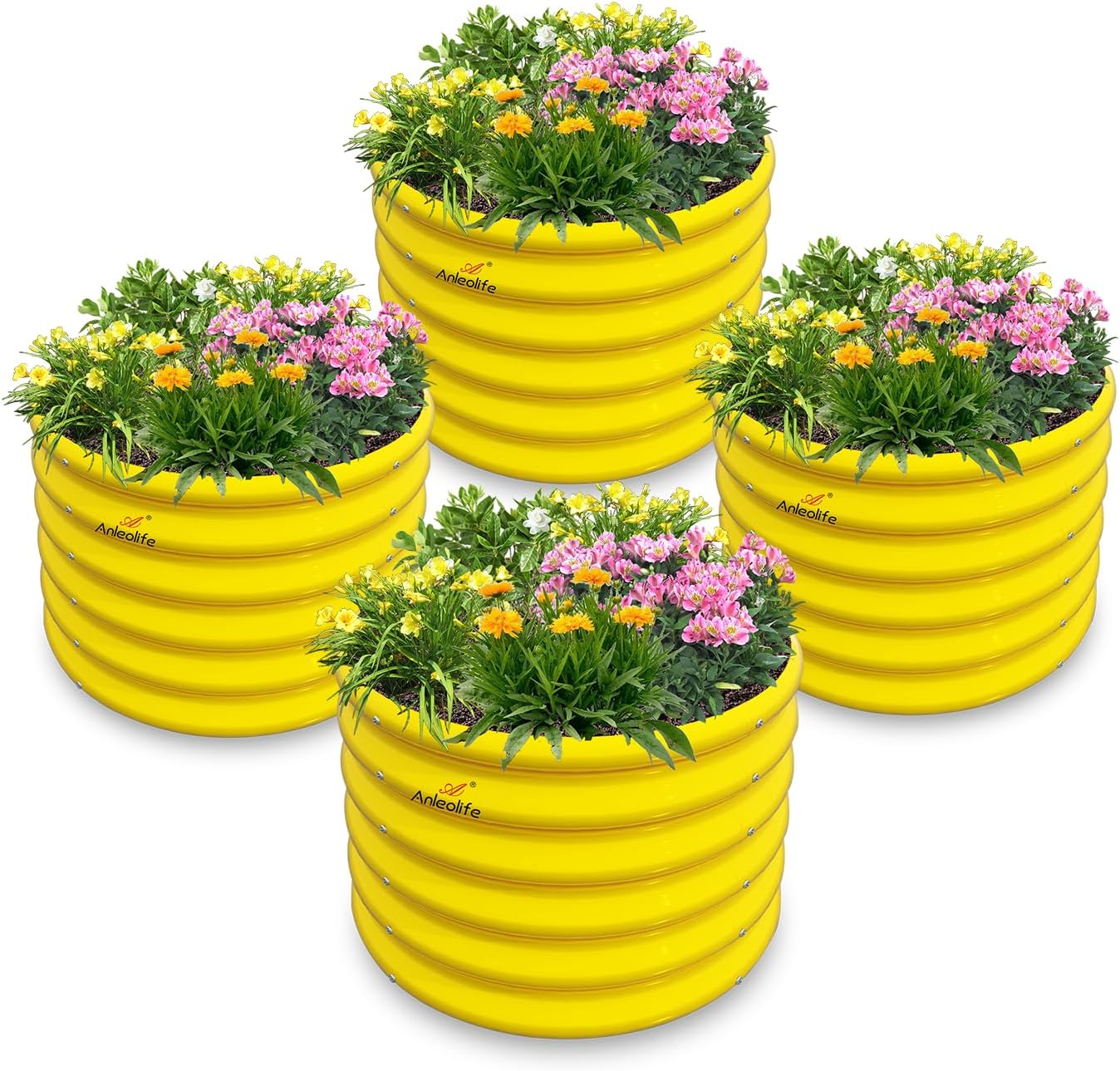 Set of 4:2x2x1.5ft Kids Round Galvanized Metal Raised Garden Beds  (Sunlit Gold)