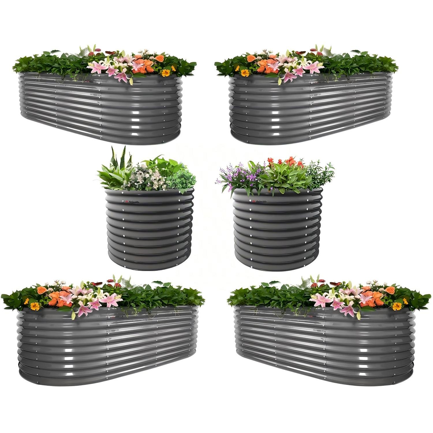 Set of six metal planter boxes with flowers on a white background 