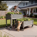 Man tending to plants in elevated raised garden beds with a dog nearby, set against a suburban home background. 