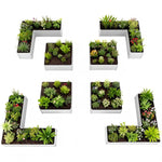 Set of letter-shaped planters with plants on a white background 