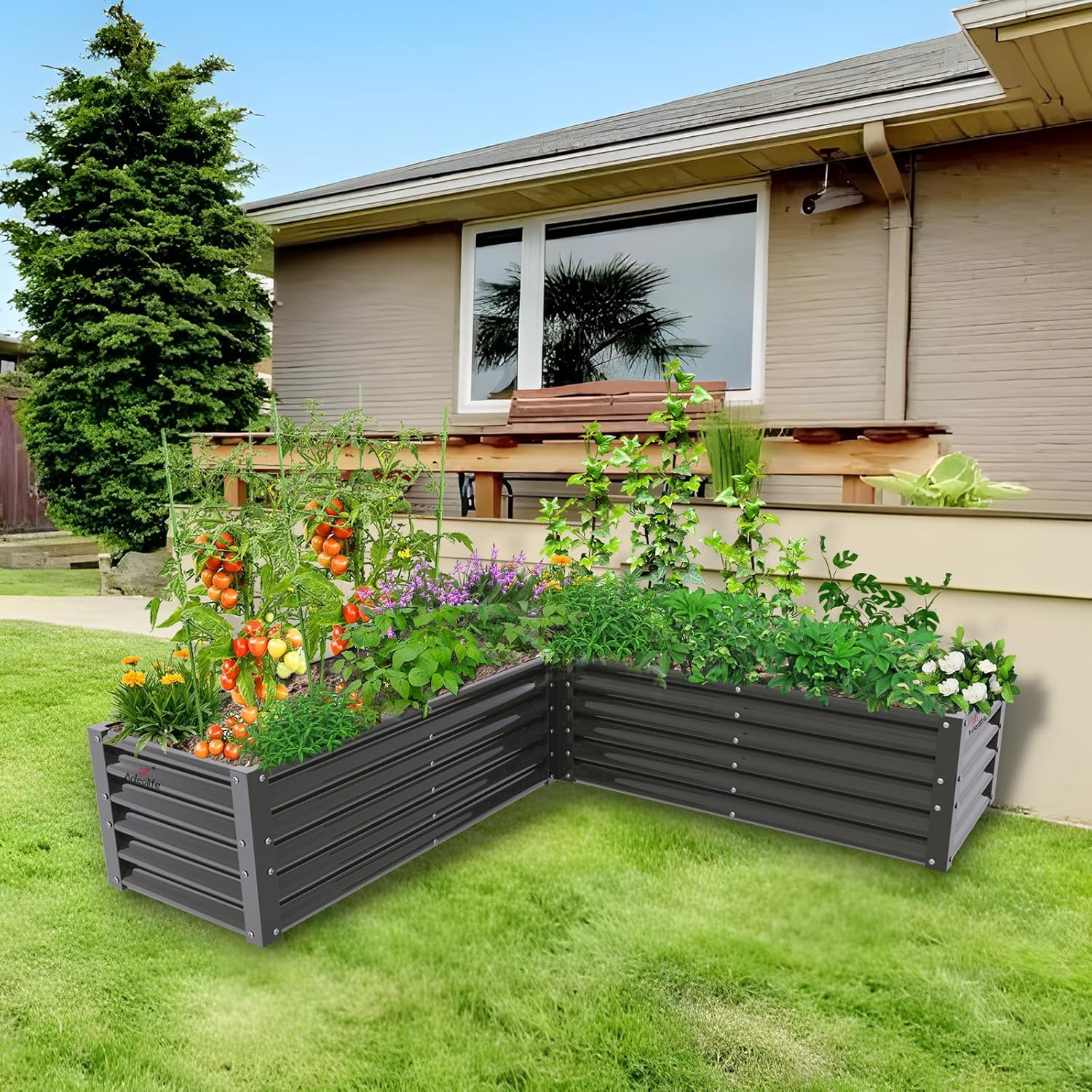 Gray raised garden bed with plants in front of a house