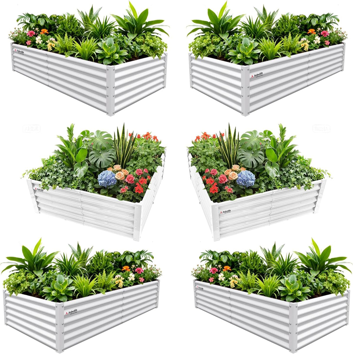 Set of six white metal raised garden beds with plants and flowers on a white background 