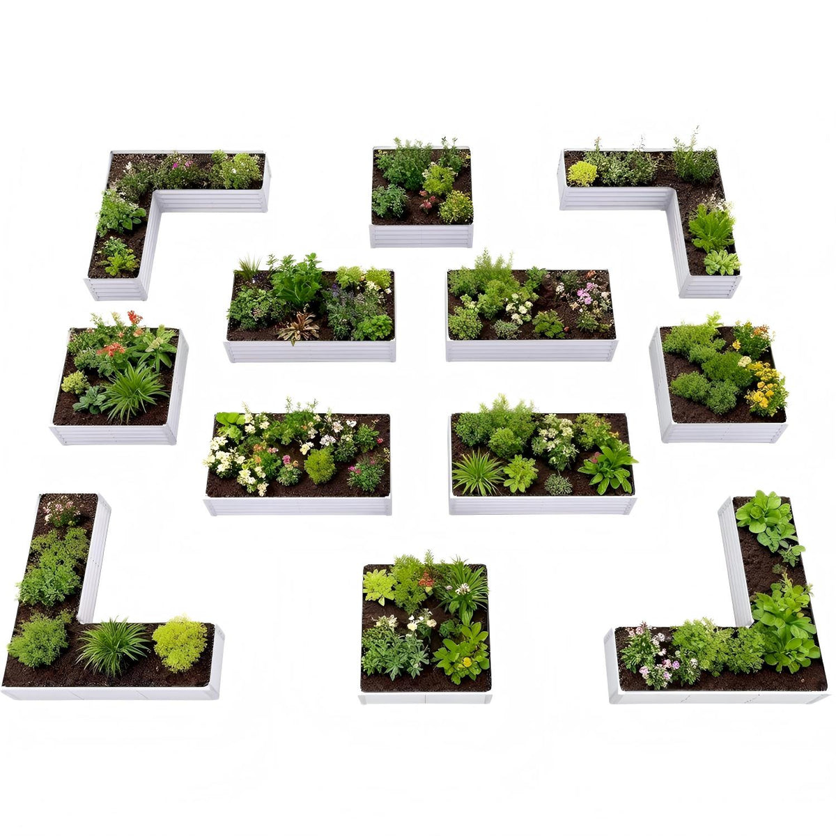 Set of small garden beds with plants arranged in a geometric pattern on a white background 