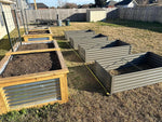 Set of raised garden beds in a backyard 