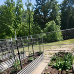 Vegetable garden with raised beds and a chain-link fence in the background 