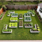 Geometric garden layout with plants on a grassy lawn 