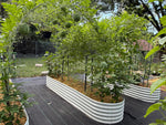 Garden with raised beds and watermelon plants on a wooden deck 