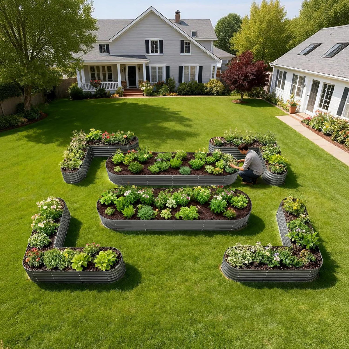 Garden with raised beds filled with plants in a residential backyard. 