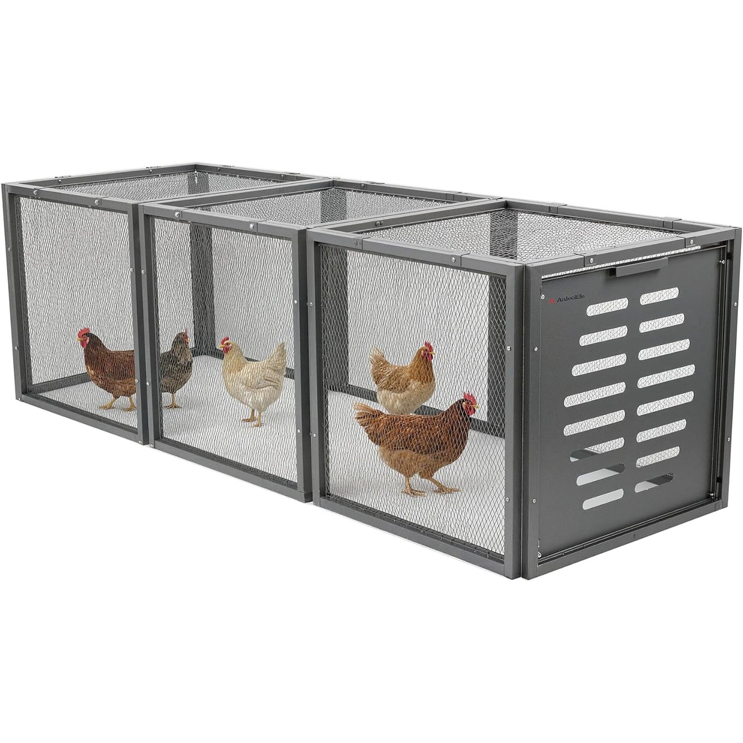 DIY Modular Chicken Tunnel – Heavy Duty Predator-Proof Poultry Run