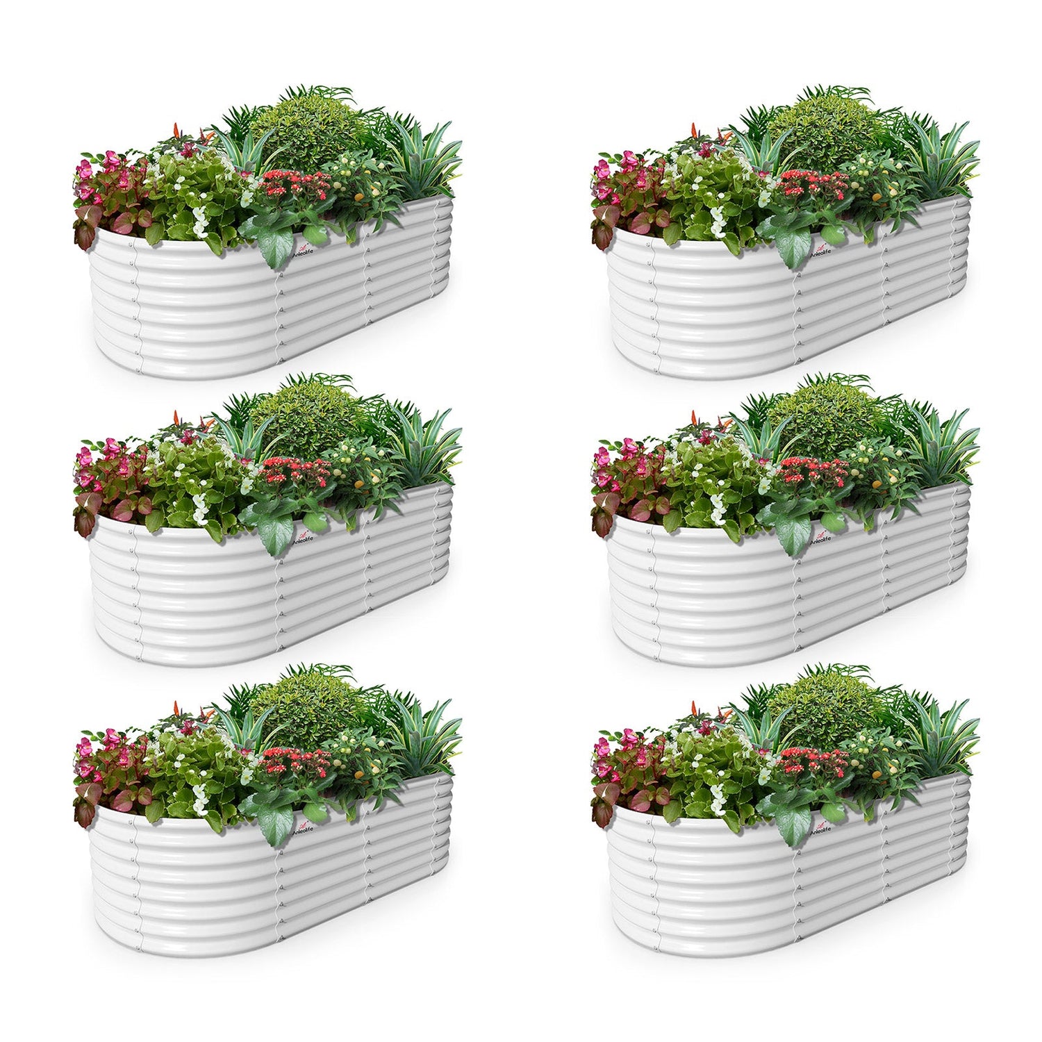 Set of 6: 6x3x2ft Oval Metal Raised Garden Beds (White)