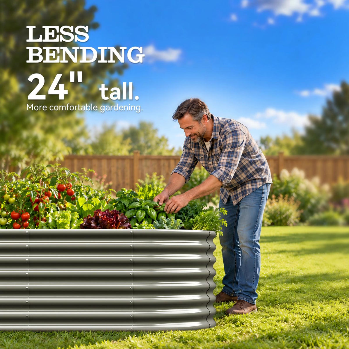 A man gardening in a grassy backyard next to a corrugated metal raised garden bed filled with plants and tomatoes. Large text on the left reads 'LESS BENDING 24" tall. 