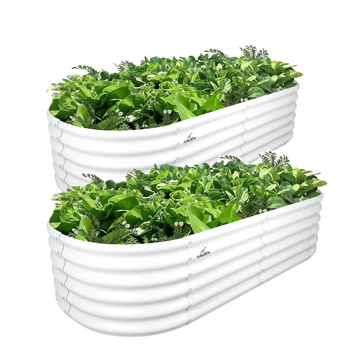 Two white raised garden beds with green plants on a white background 