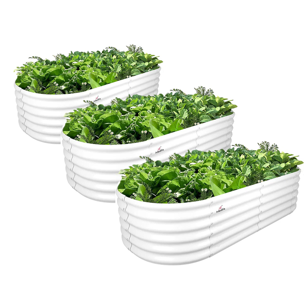 Set of three white ribbed planters with green plants on a white background 