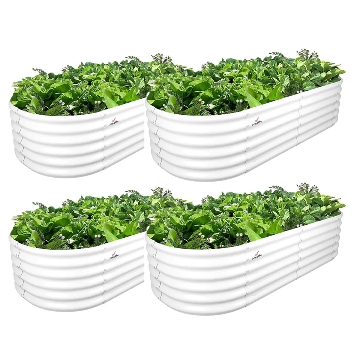 Four white oval planters with green plants on a white background 