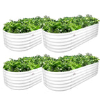 Four white oval planters with green plants on a white background 