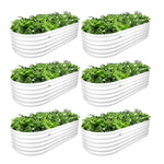 Set of six white oval planters with green plants on a white background 
