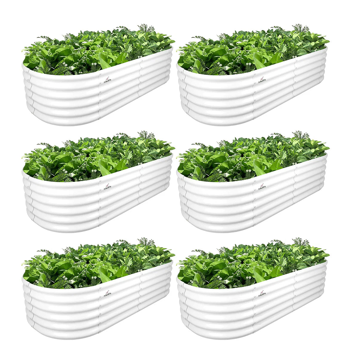 Set of six white oval planters with green plants on a white background 