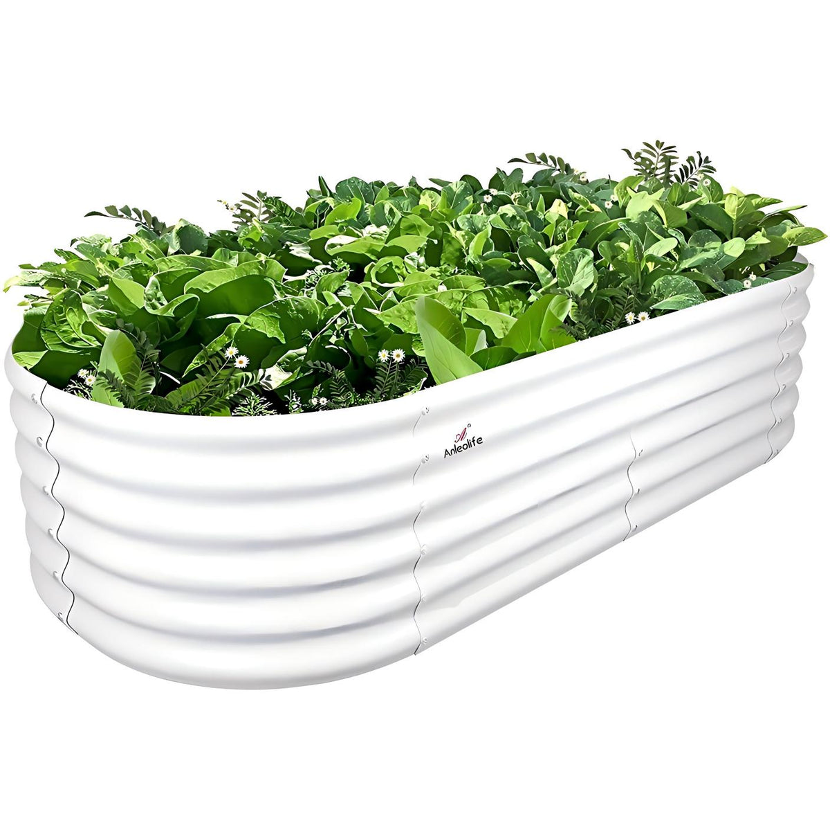 White metal raised garden bed with green plants on a white background 