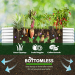 Garden bed with plants and soil layers, featuring 'Bottomless' product branding. 