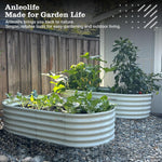 Garden beds with plants on a gravel surface, featuring Anleolife branding. 