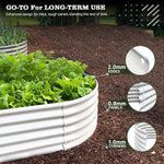 White raised garden bed with green plants, highlighting material thickness features. 
