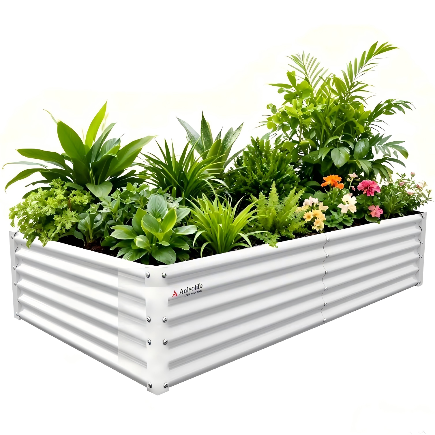White metal raised garden bed with plants on a white background 