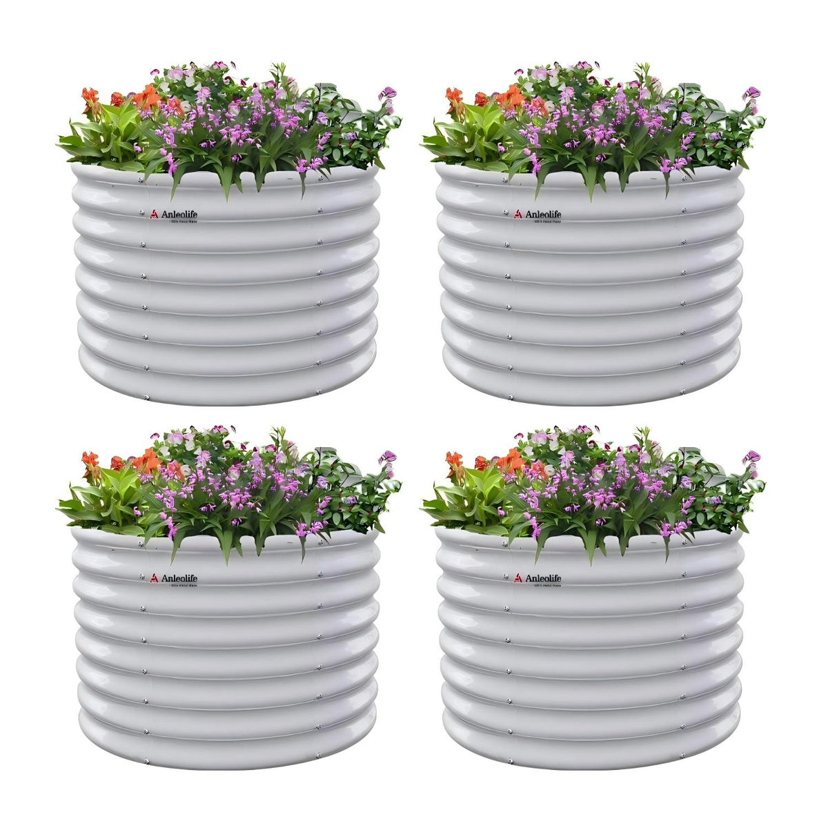 Four white ribbed planters with flowers on a white background 
