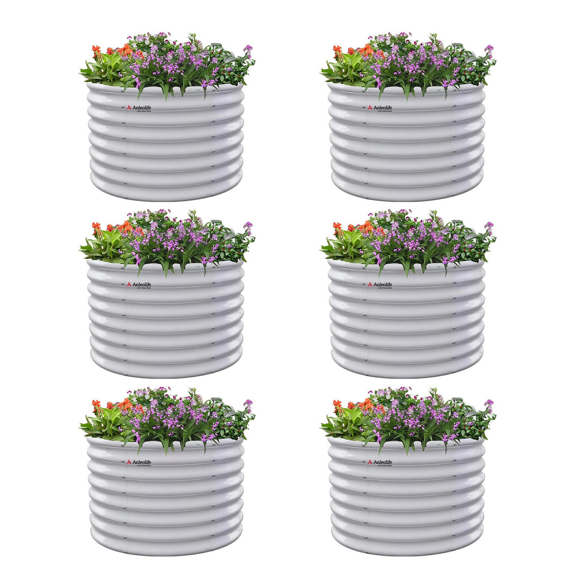 Six white cylindrical planters with flowers on a white background 