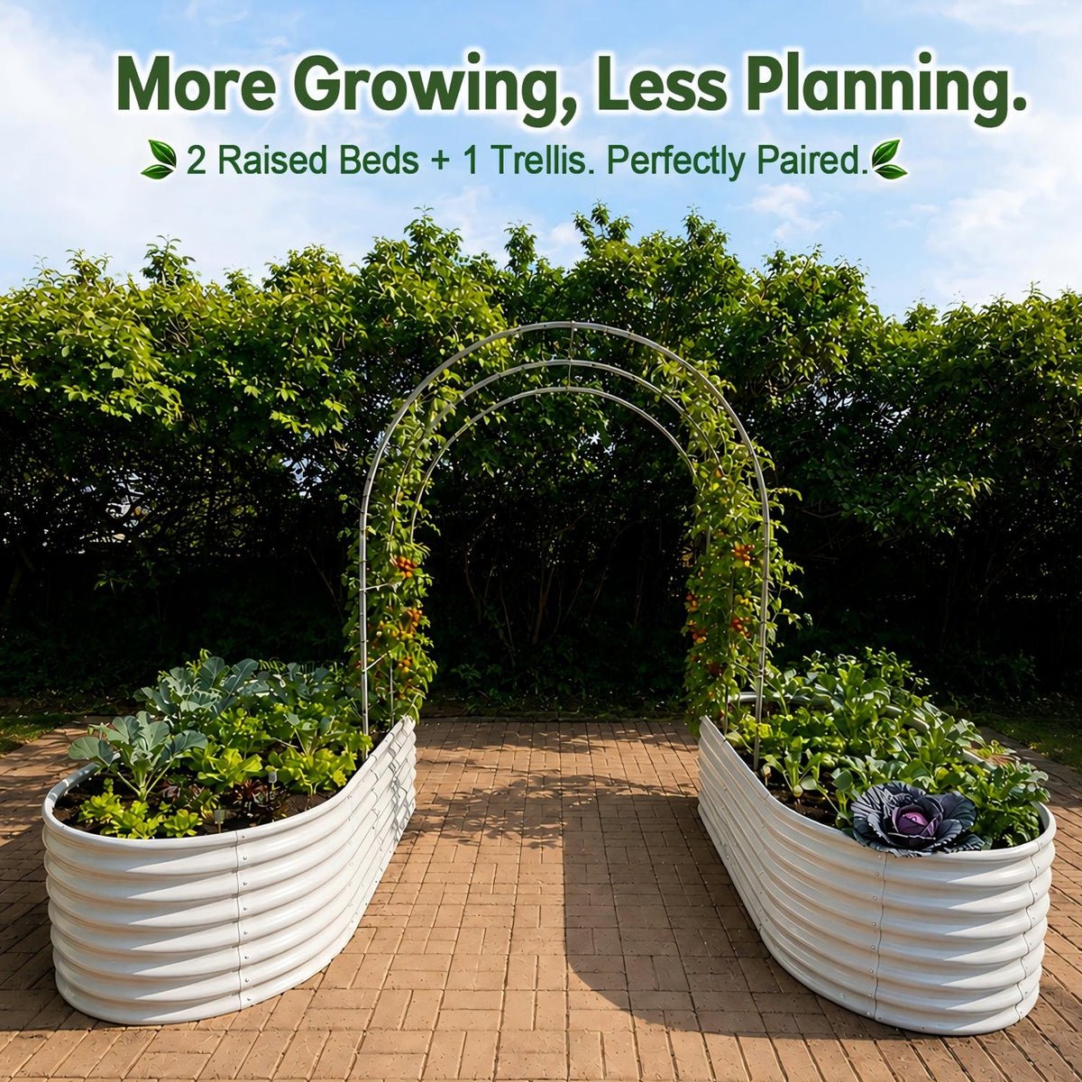 24" Extra Tall 8×4 ft Raised Garden Bed Kit (2 Beds + 1 Arch Trellis)