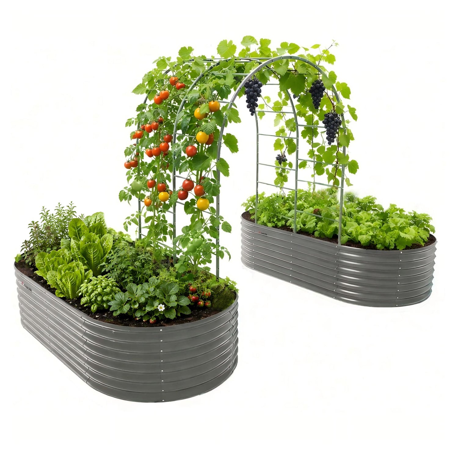 24" Extra Tall 8×4 ft Raised Garden Bed Kit (2 Beds + 1 Arch Trellis)