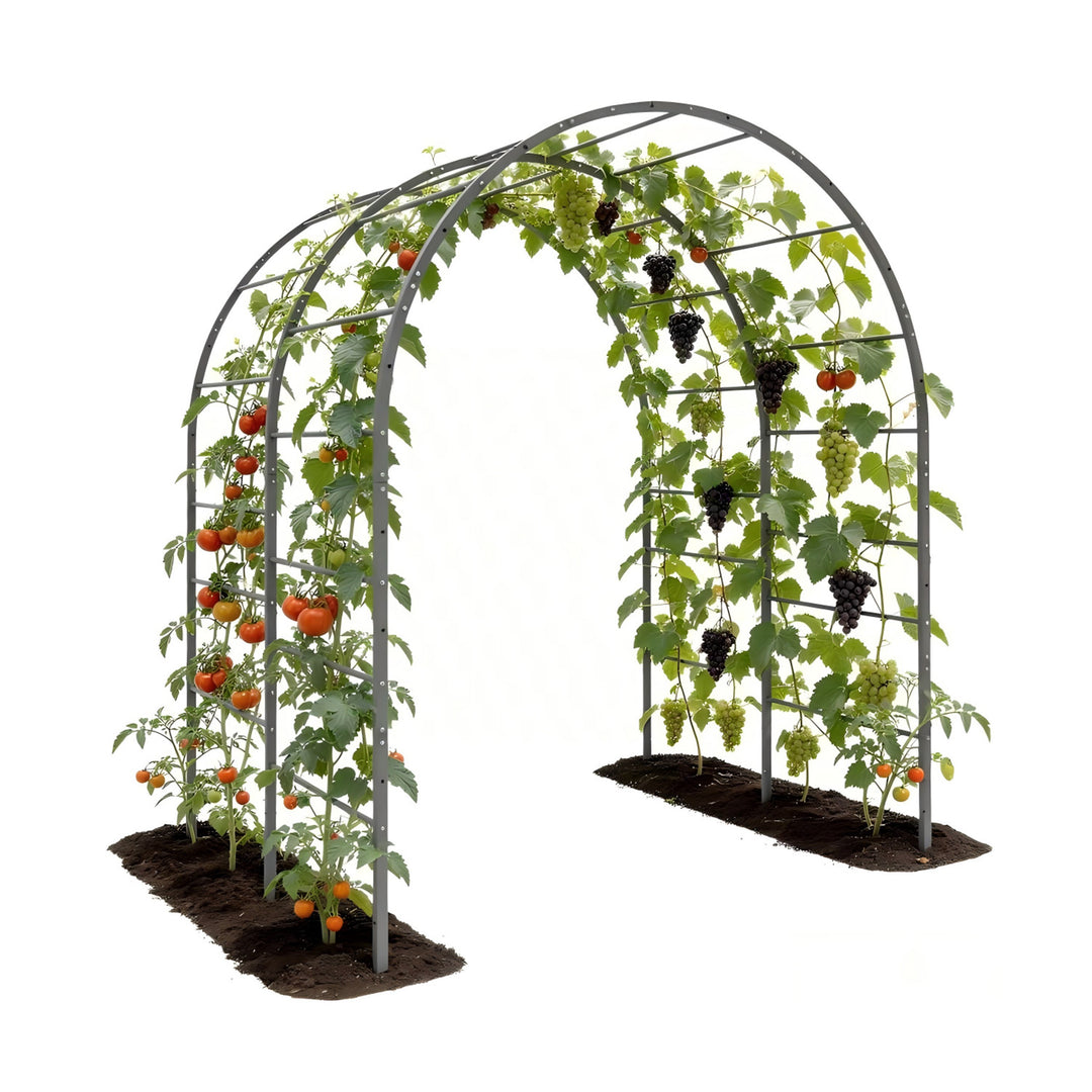 6 FT Heavy-Duty Metal Arch Garden Trellis for Raised Beds & Climbing Plants