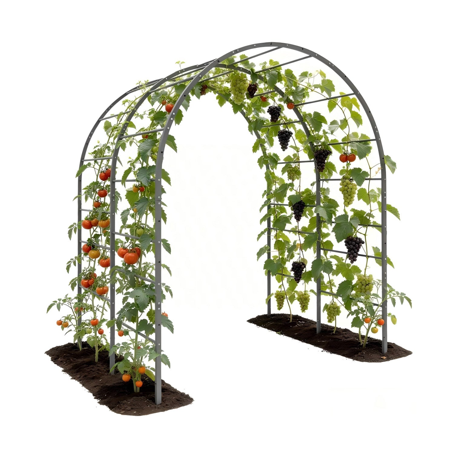 6 FT Heavy-Duty Metal Arch Garden Trellis for Raised Beds & Climbing Plants