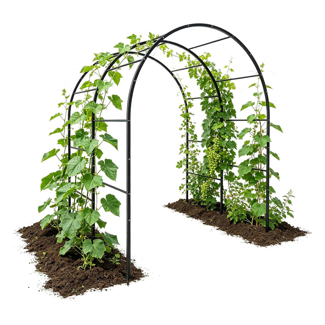 6 FT Tall Heavy-Duty Metal Arch Garden Trellis for Raised Beds & Climbing Plants