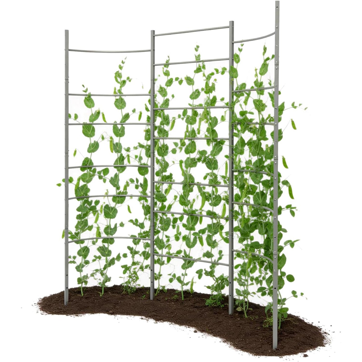 6 Ft Heavy-Duty Metal Garden Trellis for Raised Beds & Vertical Growing