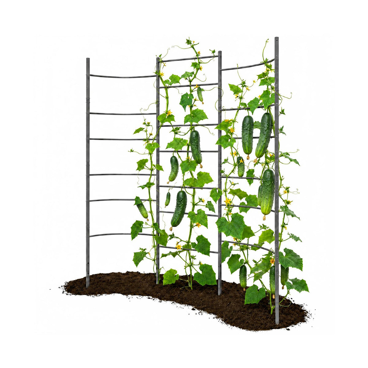 6 FT Heavy-Duty Metal Garden Trellis for Raised Beds & Vertical Growing