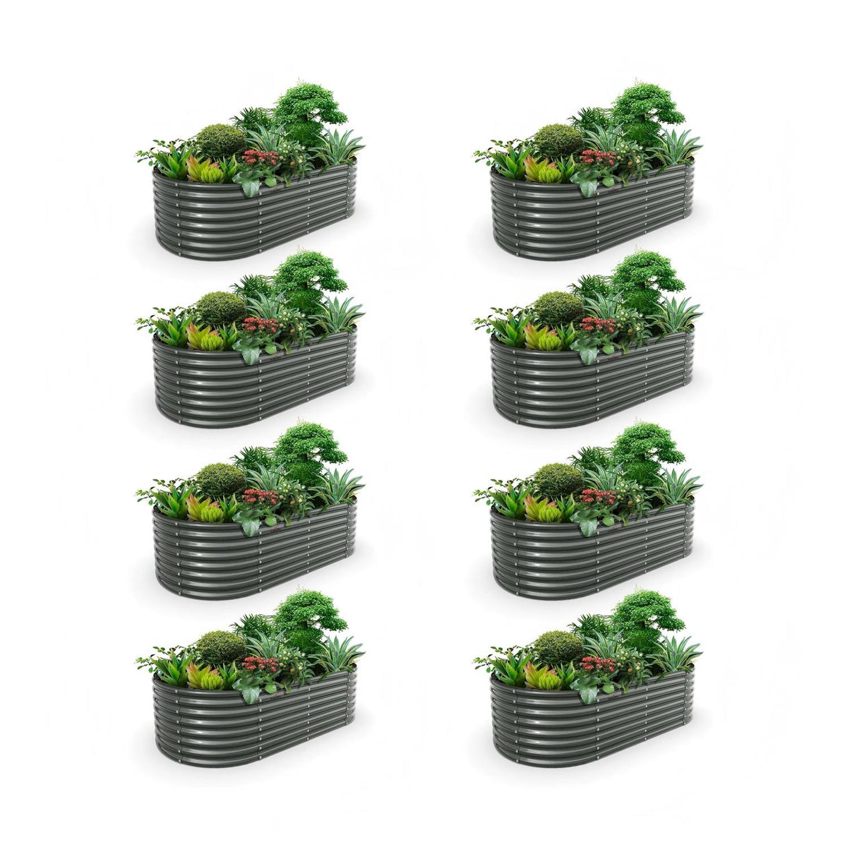 Set of eight rectangular raised garden beds with plants on a white background 