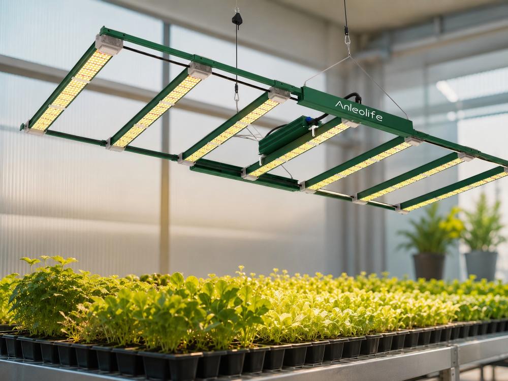 LED Grow Lights – Anleolife
