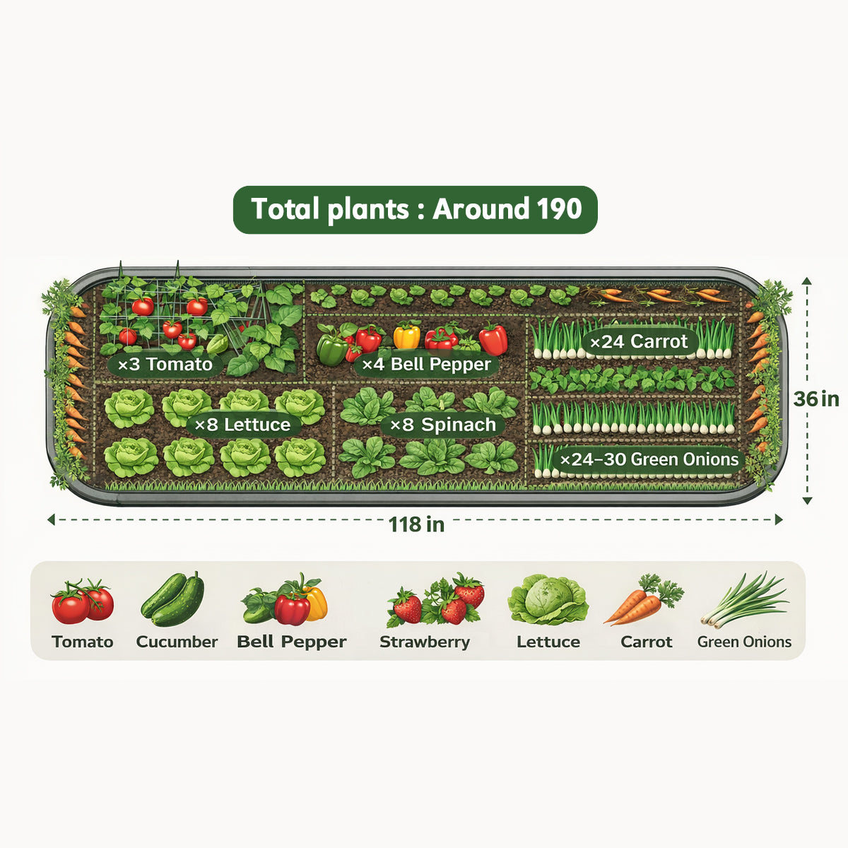 10x3 ft Garden Beds - Number of plants 