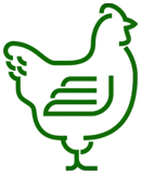 2–4